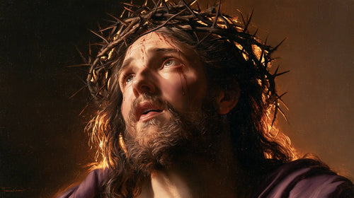 Jesus crowned with thorns in sacred sorrow in Sacred Sorrow style, landscape Christian artwork no. 11