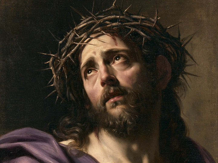 Jesus Crowned with Thorns — The Pale Cheek above the Mauve Fold
