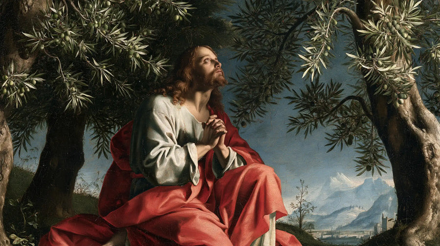 Jesus in Gethsemane — The Rose Cloak Facing the Mountains