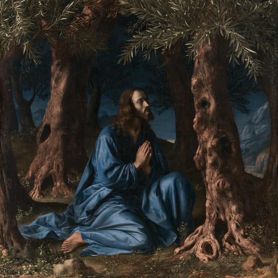 Jesus in Gethsemane — Blue between Rose-Earth Trunks